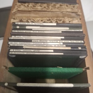 Coffret ancien de 55 faces d'arbres pour lanterne magique