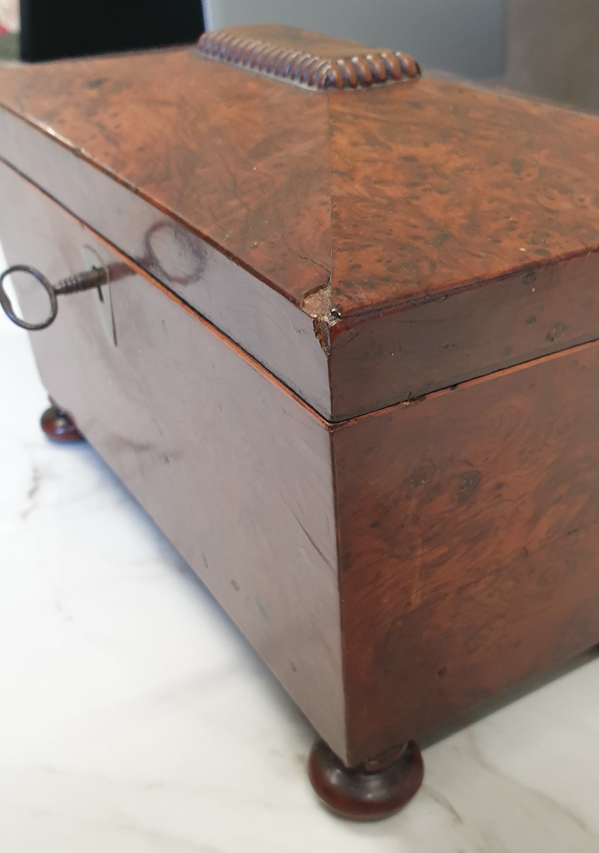 Antike georgische Bur Rosenholz Sarkophag Tee Caddy | Etsy