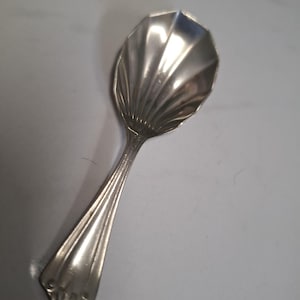 antique silver plate ribbed bowl tea caddy spoon
