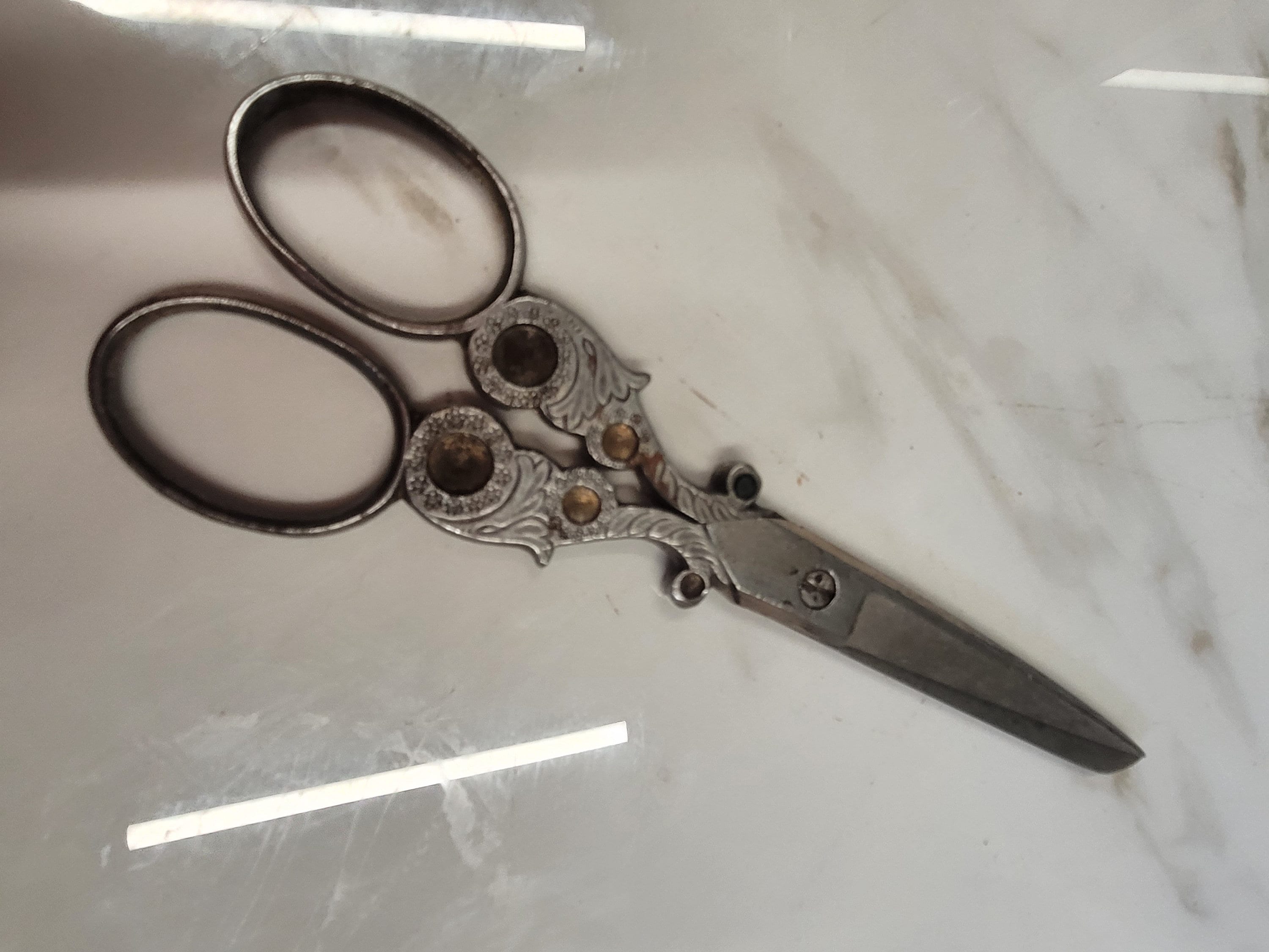 Antique Scissors Print – Wild & Arrow