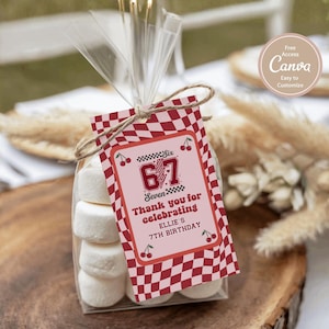 May include: A clear cellophane bag filled with marshmallows, tied with twine, and a red and white checkered tag. The tag reads "67 Seven Thank you for celebrating Ellie's 7th Birthday" with cherry illustrations.