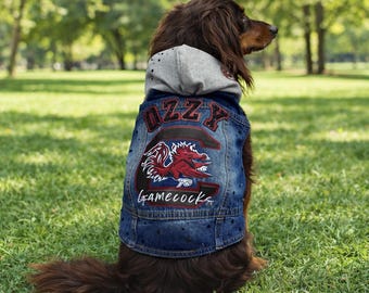 Custom Collegiate Rhinestone Dog Hoodie