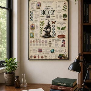 May include: A framed educational poster titled Intro to Biology 101, featuring detailed scientific illustrations including a microscope, DNA strands, plant and animal cells, a human skeleton, and various biological diagrams on a cream background.