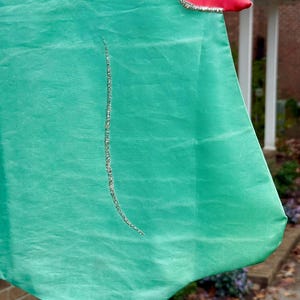 May include: A green fabric flag with a red accent at the top. Silver glitter trim outlines the red section and a vertical line down the green fabric. The flag is hanging outside.