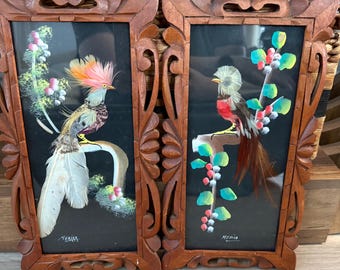 Set vintage messicano di uccelli in piume, con cornici in legno intagliato, decorazione murale folk.