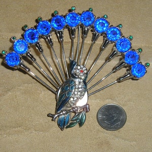 Vintage Interesting Large Enamel Rhinestone Bird Of Paradise Brooch. Parrot Peacock. Attributed To Staret. Circa 1940 Jewelry 2237 image 1