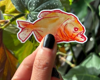 Cute Piranha Vinyl Sticker – Hand Drawn Waterproof Fish Sticker for Water Bottles, Laptop, Kindle & Journals