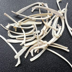 May include: A collection of small, off-white, curved animal rib bones scattered in a pile. Each bone features a smooth, elongated structure with distinct joint ends, showcasing a natural, matte texture and a light, bone-colored appearance throughout.
