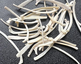 5 - 20 pcs real animal ribs, ethical bones and has cleaned and disinfected.Voodoo bones,Ouija board