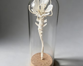 Real Animal Bone Flower Sculpture. Come with Glass cover. Gothic Oddity,Bone Gift for women