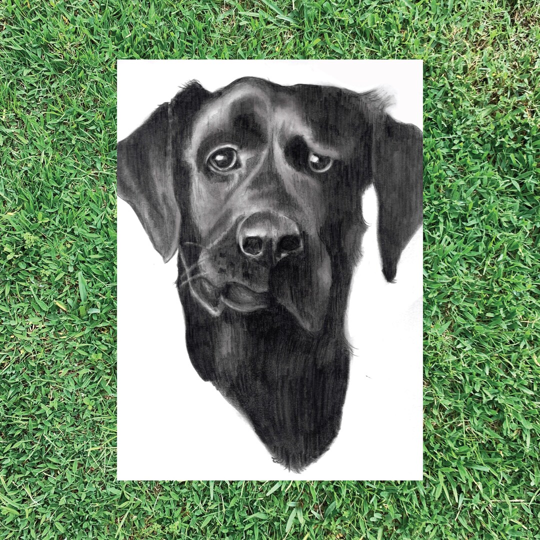 Custom Hand Drawn B&W Pet Portrait, Graphite Charcoal Art, Personalized ...