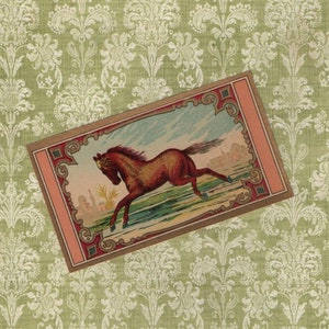 Victorian Lithograph Horse Textile Dye Label