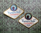 2 Myopia Club litho 1920s Raspberry and Loganberry Soda Labels Native American