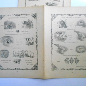 10 Pages 1899 Bible Symbols Sunday School Victorian Picture Book - Etsy