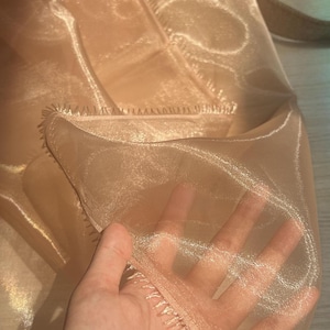 Può includere: Primo piano di un tessuto trasparente color pesca chiaro. Il tessuto è tenuto in una mano, mostrando la sua delicata e traslucida qualità. I bordi sono rifiniti con una cucitura decorativa. Il tessuto ha una sottile lucentezza, suggerendo che potrebbe essere organza o un materiale simile.