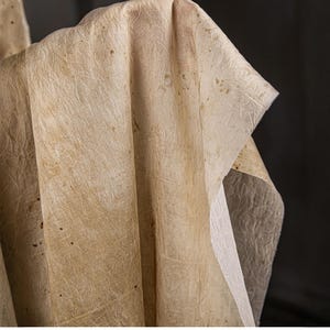 May include: Close-up of a textured, off-white fabric with a natural, aged appearance. The fabric has subtle brown spots and a delicate, vein-like pattern, creating a vintage aesthetic. The material is draped, showing its folds and texture.