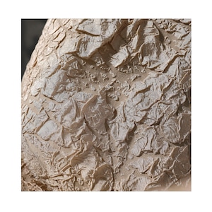 May include: Close-up of a beige fabric with a textured, layered design. The fabric has a wrinkled, crumpled appearance, with raised sections and a subtle sheen. The overall effect is of a delicate, yet complex textile.