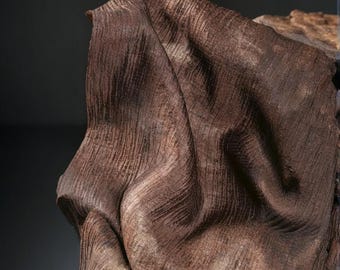 Puede incluir: Primer plano de una escultura marrón texturizada con una apariencia fluida y drapeada. La obra de arte tiene un aspecto natural y orgánico, con vetas visibles y sutiles variaciones de color. La pieza está colocada sobre un fondo oscuro, resaltando su forma.