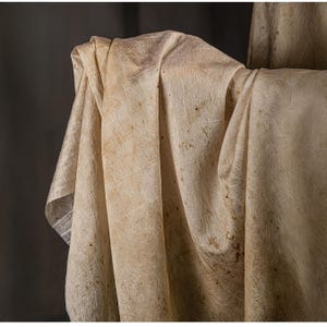 May include: Close-up of draped fabric with a textured, aged appearance. The fabric is a light beige color with darker brown spots and a subtle, intricate pattern. The folds and shadows create depth and visual interest.