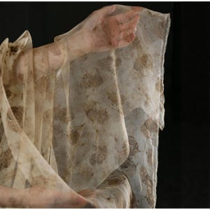 Puede incluir: Una tela beige translúcida con un estampado de hojas está drapeada sobre un brazo y una mano. La tela es semitransparente, revelando la piel debajo. El estampado de hojas es en tonos marrones, creando una estética natural.