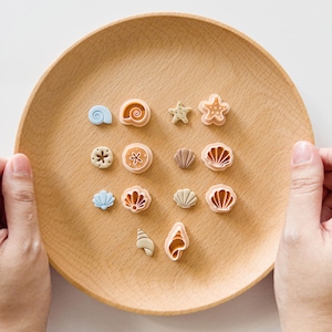 May include: A collection of seashell-shaped decorations in various colors, including blue, tan, and brown, arranged on a round wooden plate. The assortment features starfish, spiral shells, and scallop designs, perfect for coastal-themed crafts or decor.