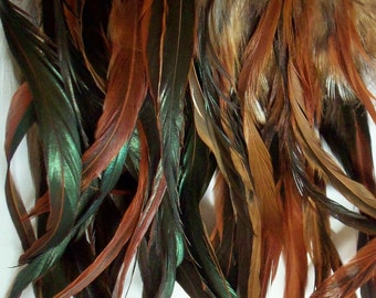 Long Rooster Feathers, Hair Extensions, Jewelry, Crafts, bulk, lot, wholesale, , natural bronze, red, black, iridescent, feather supply