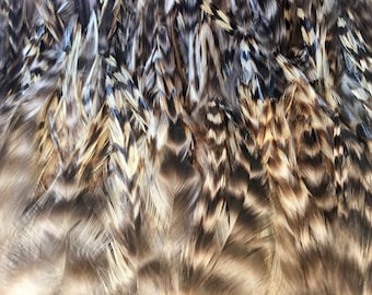 Natural Chinchilla Saddle Feathers | 2-4 Inch Barred Craft Pack