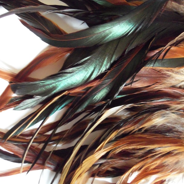 Fluffy Down Top Long Hair Feathers Shampooed CLEAN Bronze Black Iridescent Auburn Red Rooster Feather Jewelry Natural Craft Supply Must Have