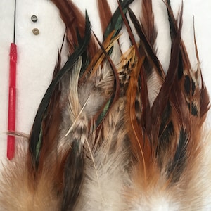 May include: A collection of brown, black, and white feathers with green accents. The feathers are arranged in a fan shape and are ready to be used for crafting projects.