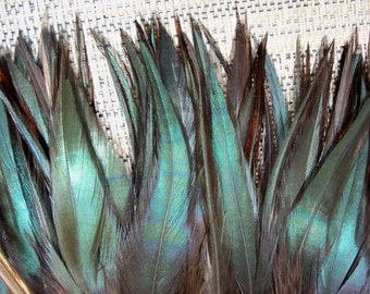 Iridescent Black Feathers for Hair Extensions Clips Jewelry Fresh Clean Feather Craft Earrings Soft Natural