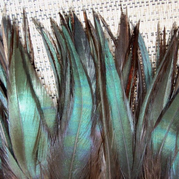 Iridescent Black Feathers for Hair Extensions Clips Jewelry Fresh Clean Feather Craft Earrings Soft Natural