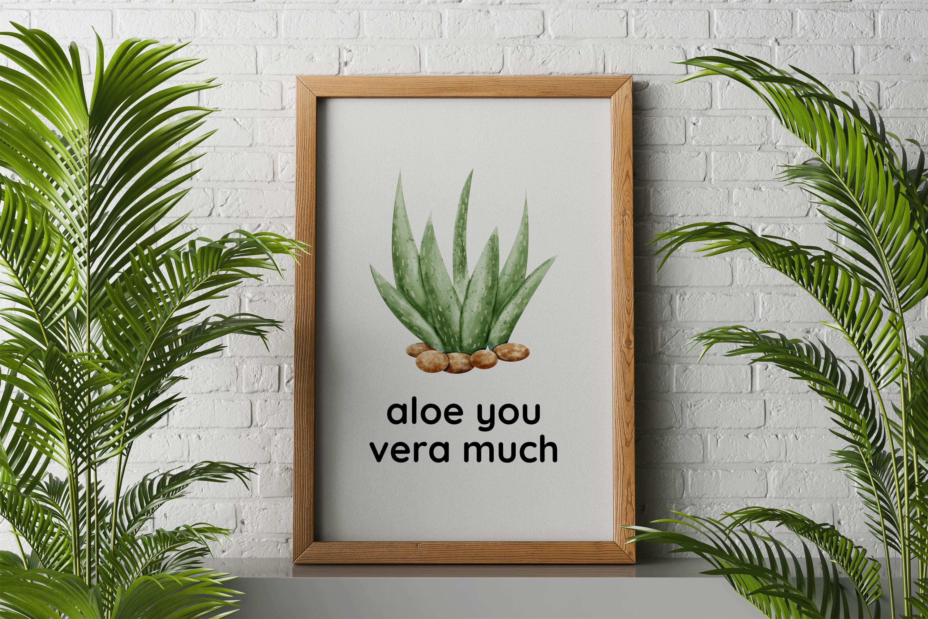 potting soil for aloe vera plant Aloe Vera Potting Soil Mix (Choose Size), Custom Blend for Aloe Vera Plants  and Succulent Houseplants – Kurated Korner main image 1