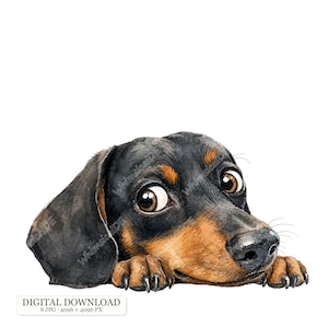 Könnte beinhalten: Eine Aquarellillustration eines schwarz-lohfarbenen Dackels mit großen braunen Augen, der seinen Kopf und seine Vorderpfoten auf eine Oberfläche legt. Der Hund hat lange Schlappohren und eine schwarze Nase. Der Text DIGITAL DOWNLOAD 8 JPG 4096 x 4096 PX ist sichtbar.