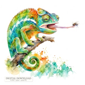 Peut inclure: Une illustration à l'aquarelle d'un caméléon aux couleurs vives perché sur une branche brune, étendant sa longue langue pour attraper une petite mouche. Le caméléon présente un mélange de teintes vertes, bleues et orange.