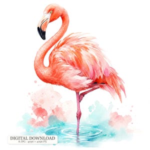 Pode incluir: Uma ilustração em aguarela de um flamingo em pé sobre uma pata em água rasa. A ave apresenta penas em tons vibrantes de rosa e laranja, com um bico branco e preto. Abaixo da ave, existem salpicos suaves de tinta rosa e azul-petróleo.
