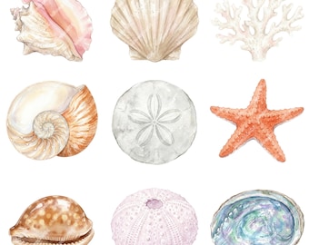 Könnte beinhalten: Aquarell-Illustration verschiedener Muscheln und Meereslebewesen. Enthält eine rosa Muschel, eine beige Jakobsmuschel, weiße Korallen, eine Nautilusmuschel, einen Sanddollar, einen orangefarbenen Seestern, eine braune Kaurimuschel, einen rosa Seeigel und eine schillernde Abalone-Muschel.