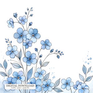 Könnte beinhalten: Eine digitale Illustration von hellblauen Blumen mit jeweils fünf Blütenblättern, feinen dunklen Umrisslinien und Aquarellschattierungen. Das Bild zeigt schlanke Stängel, spitze Blätter und kleine Knospen sowie den Text DIGITAL DOWNLOAD 8 JPG 4096 x 4096 PX.