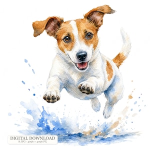 Könnte beinhalten: Eine Aquarellillustration eines Jack Russell Terriers, der mit freudigem Ausdruck springt. Der Hund hat weißes Fell mit braunen Flecken an Kopf und Schwanz. Unter dem Hund erzeugen blaue Aquarellspritzer einen dynamischen Wassereffekt.