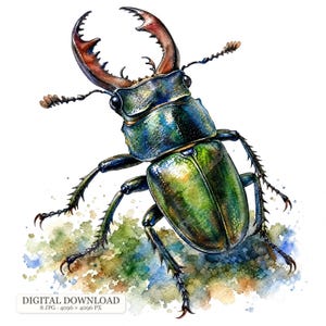 Pode incluir: Uma ilustração detalhada em aguarela de um escaravelho-veado com élitros verde e azul iridescentes, um tórax escuro e grandes mandíbulas castanho-avermelhadas. O inseto está posicionado sobre uma mancha texturizada de tinta verde, azul e castanha.