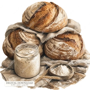 Könnte beinhalten: Drei runde Laibe krustiges Sauerteigbrot auf einem hellen Leinentuch, begleitet von einem Glas mit blubberndem Sauerteigstarter, einer kleinen Schale mit weißem Mehl und zwei getrockneten Weizenähren auf weißem Hintergrund.