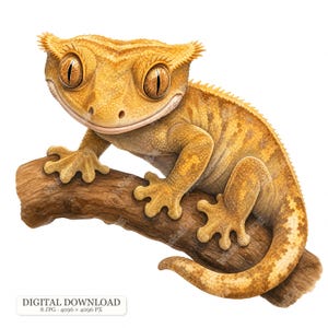 Peut inclure: Une illustration numérique d'un gecko à crête jaune et orange avec de grands yeux et des crêtes épineuses, perché sur une branche d'arbre brune texturée. L'image inclut le texte DIGITAL DOWNLOAD 8 JPG 4096 x 4096 PX en bas à gauche.