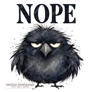 Peut inclure: Une illustration numérique d'un oiseau noir rond et duveteux avec une expression grincheuse, des plumes ébouriffées et un bec pointu. Au-dessus de l'oiseau, le mot NOPE est écrit en grandes lettres sombres et grasses avec une texture mouchetée.