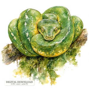 8 JPG Snake Clipart, Watercolor Reptile Illustrations, Green Python Viper Garter Snake Art, Hand Painted Animal Graphics