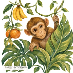 8 JPG Monkey Clipart, Jungle Animal Illustration, Watercolor Baby Monkey, Tropical Vine Banana Mango, Cute Safari Animal Set