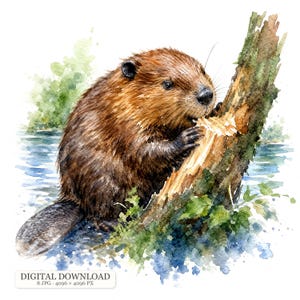 May include: A watercolour illustration of a brown beaver gnawing on a tree trunk. The beaver has dark fur, a flat tail, and small ears. The scene includes blue water and green foliage. Text at the bottom reads: DIGITAL DOWNLOAD 8 JPG 4096 x 4096 PX.