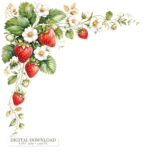 Könnte beinhalten: Eine Aquarellillustration einer Erdbeerpflanzen-Eckbordüre mit hellroten Erdbeeren, weißen fünfblättrigen Blüten und grünen Blättern. Der Text unten lautet DIGITAL DOWNLOAD 8 JPG 4096 x 4096 PX.