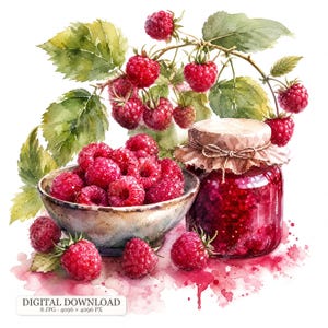 8 JPG Hallon Clipart Bär, Akvarell Hallongren, Fruktskålsillustration, Röda Bär Clip Art Element