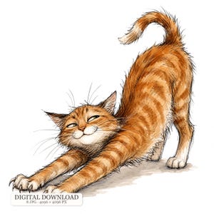 Könnte beinhalten: Eine digitale Illustration einer orangefarbenen getigerten Katze mit dunklen Streifen, die ihren Körper mit ausgestreckten Vorderpfoten und sichtbaren Krallen streckt. Die Katze hat einen zufriedenen Ausdruck mit halb geschlossenen Augen. Unten steht DIGITAL DOWNLOAD 8 JPG 4096 x 4096 PX.