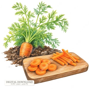 Pode incluir: Uma ilustração botânica de uma cenoura laranja inteira com folhas verdes crescendo em terra escura, ao lado de uma tábua de madeira com rodelas e palitos de cenoura. O texto diz DIGITAL DOWNLOAD.