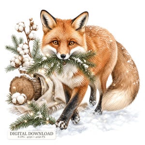 Könnte beinhalten: Eine digitale Illustration eines Rotfuchses mit bernsteinfarbenen Augen, der einen grünen Tannenzweig im Maul hält. Der Fuchs steht neben einem Holzstamm, weißen Baumwollblüten und einem beigen Tuch auf Schnee. Text: DIGITAL DOWNLOAD 8 JPG 4096 x 4096 PX.